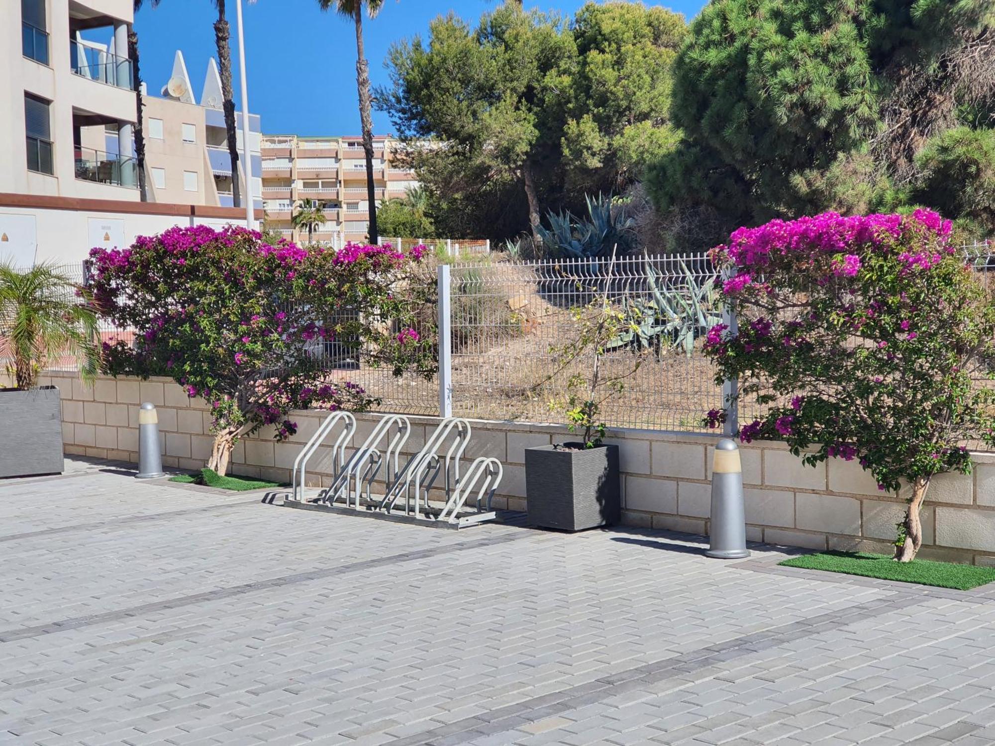 Al048 Pinada Beach IV La Mata  Zewnętrze zdjęcie