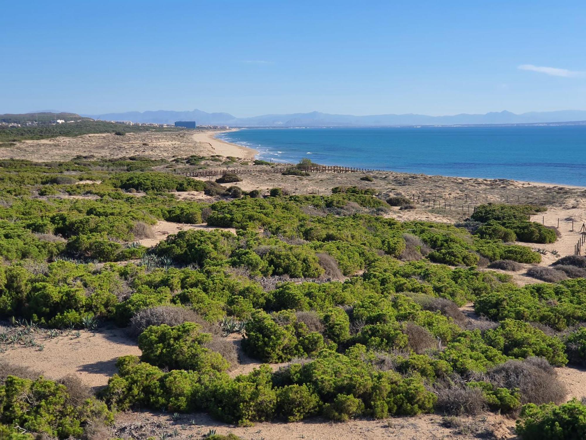 Al048 Pinada Beach IV La Mata  Zewnętrze zdjęcie